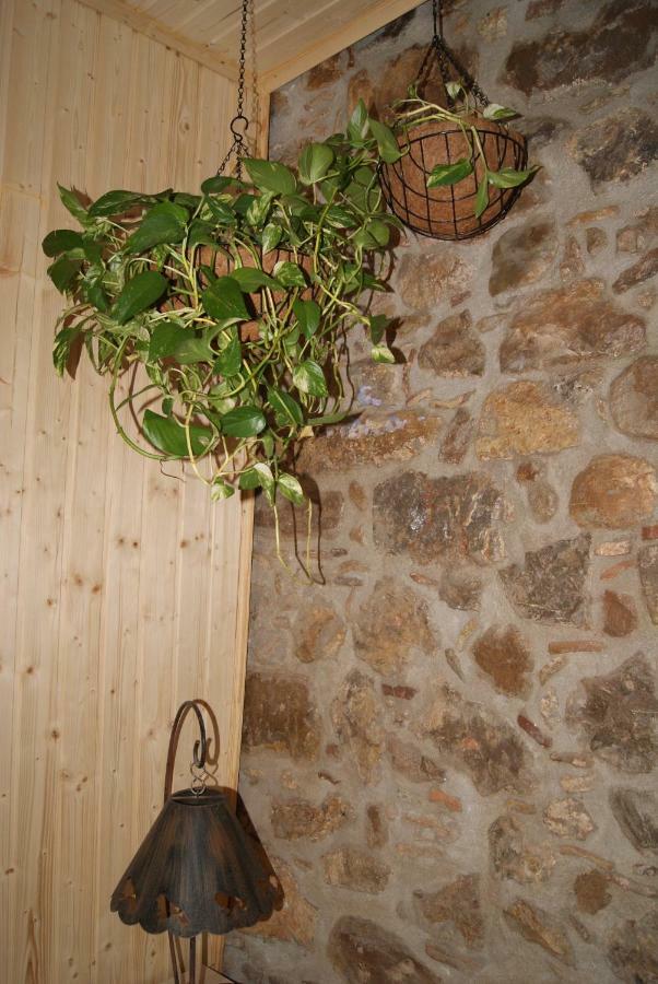 Apartament Codina 40 Apartment Torroella De Montgri Luaran gambar