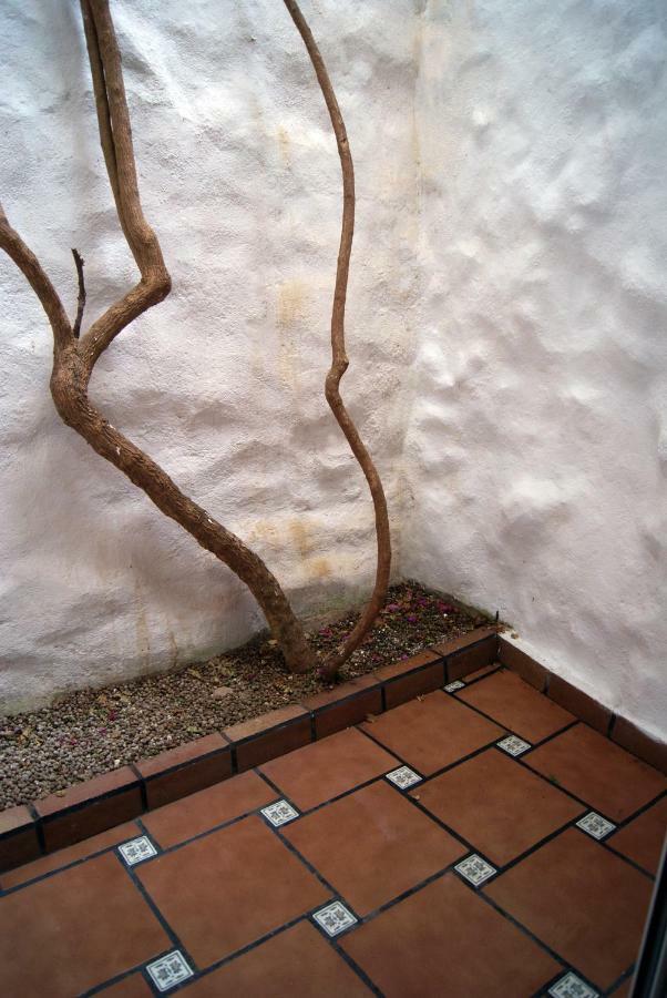 Apartament Codina 40 Apartment Torroella De Montgri Luaran gambar